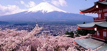 JAPONIA – Festivalul ciresilor in floare 2018